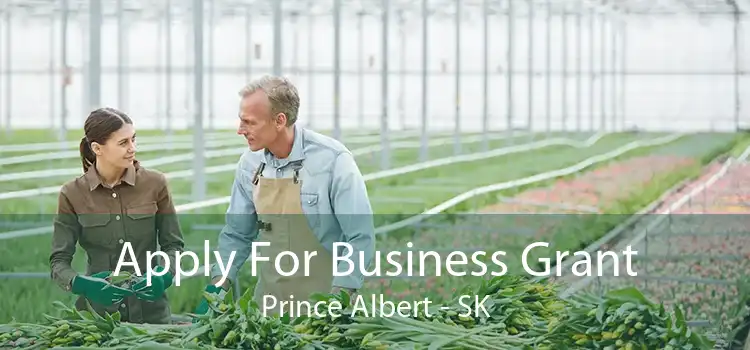 Apply For Business Grant Prince Albert - SK