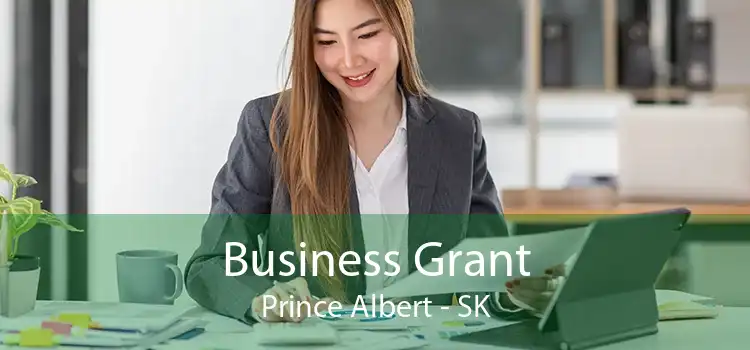 Business Grant Prince Albert - SK